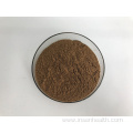 Herbal Extract Nettle Root Extract Powder
